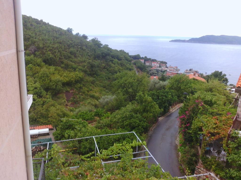 Apartments Mitrovic Podlicak Sveti Stefan Rom bilde