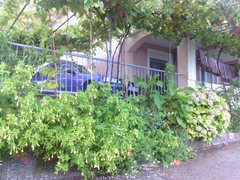 Apartments Mitrovic Podlicak Sveti Stefan Eksteriør bilde